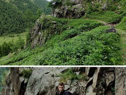 Yuk Uji Kejelian Mata Melihat Foto Kamuflase, Berani?