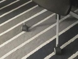 Yuk Uji Kejelian Mata Melihat Foto Kamuflase, Berani?