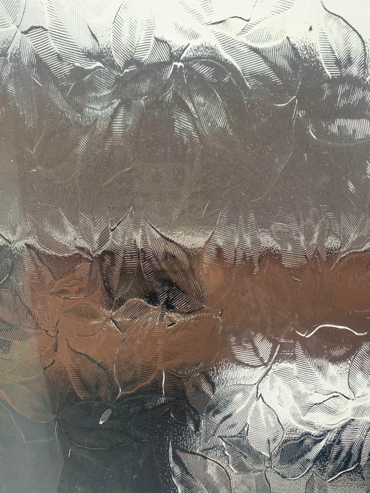Foto kamuflase menipu mata