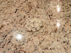 Yuk Uji Kejelian Mata Melihat Foto Kamuflase, Berani?