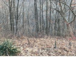 Yuk Uji Kejelian Mata Melihat Foto Kamuflase, Berani?