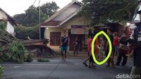 Penampakan foto yang dijepret adik kandung Jemmy Hwayudi alias Jimmy (41), warga Dusun Janti, Desa Jatilangkung, Kecamatan Pungging, Mojokerto pada Jumat (29/10) sore. Tanpa sengaja kamera ponsel adik Jimmy menangkap penampakan sosok misterius. Sosok putih transparan itu berdiri di antara warga yang melihat sebuah pohon angsana atau sono yang tumbang karena hujan dan angin kencang.