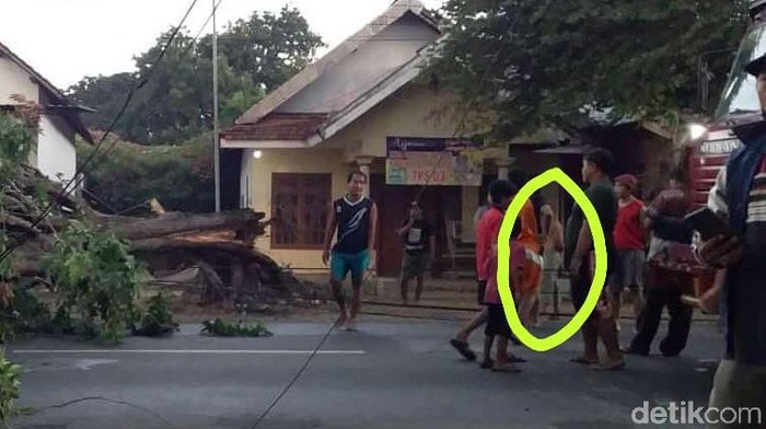 Penampakan sosok misterius yang viral saat pohon berukuran besar tumbang di Mojokerto viral di media sosial. Sosok itu dikabarkan sebagai penunggu pohon tersebut.
