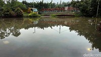 Kawasan Taman Kembang Sepatu pun turut terendam banjir.