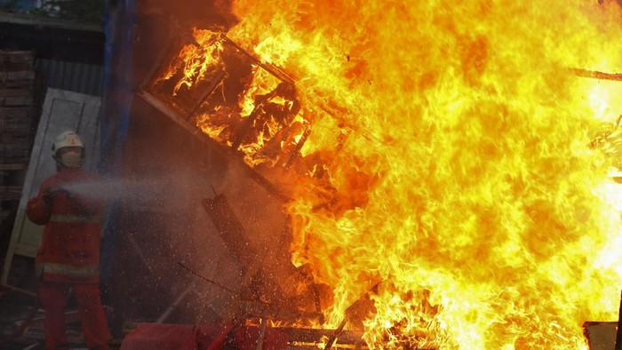 Jadi Ajang Judi, Kandang Burung Merpati di Surabaya Dibakar Petugas Dinas Pemadam Kebakaran Kota Surabaya memadamkan kandang burung merpati aduan yang dibakar usai dibongkar di kawasan Karang Asem, Surabaya, Jawa Timur, Senin (1/11/2021). Pembongkaran kandang burung merpati aduan yang dilakukan petugas gabungan tersebut dilakukan karena tempat itu diduga dijadikan ajang perjudian balap burung Merpati. ANTARA FOTO/Didik Suhartono/aww.