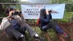 Menyaksikan Burung Bermigrasi di Puncak Bogor