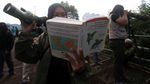 Menyaksikan Burung Bermigrasi di Puncak Bogor