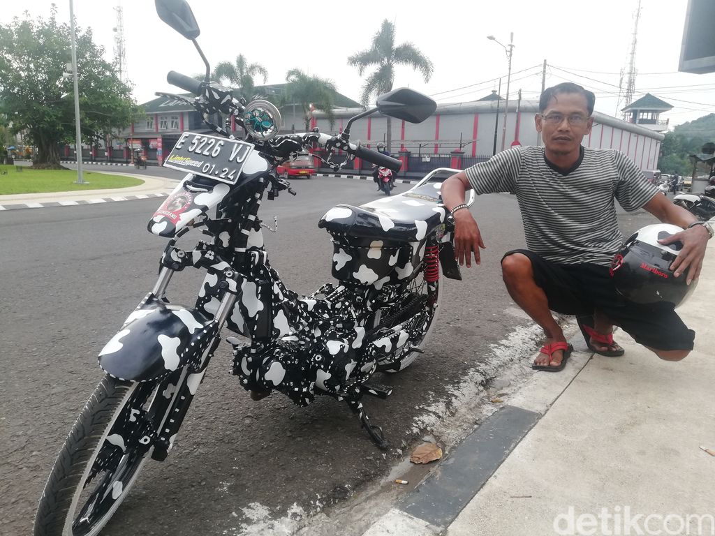 Modifikator motor dalmatian
