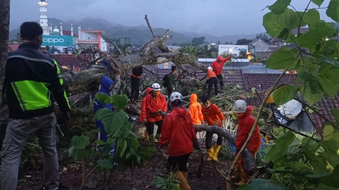 Pohon tumbang timpa empat rumah di Sumedang