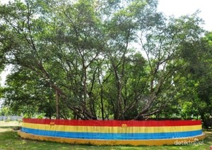 Menguak Ritual Mencari Jodoh di Pohon Cinta Pulau Kemaro