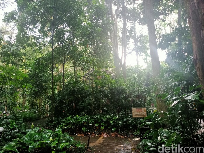 Tahura Djuanda Bandung