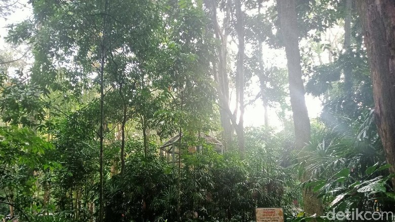 Tahura Djuanda Bandung Tahura Djuanda Bandung