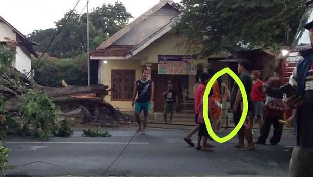Viral Penampakan Sosok Misterius Saat Pohon Tumbang di Mojokerto