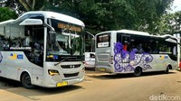 Seperti ini penampakan Bus Trans Pakuan yang mulai beroperasi di Kota Bogor.