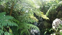 Kesegaran air terjun kecil didalam farmhouse