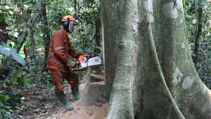Jokowi dan seratus pemimpin dunia di KTT Perubahan Iklim janji akhiri deforestasi tahun 2030