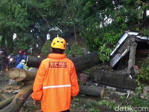 Pohon Tumbang Timpa Driver Ojol di Purwakarta