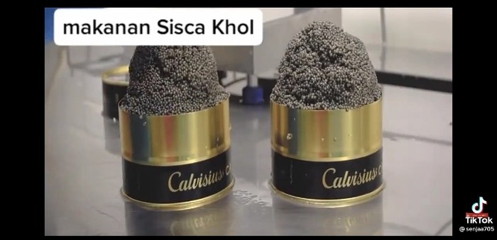 Proses Panen Caviar Sisca Kohl Doyan Banget Caviar, Ternyata Ini Proses Panen Caviar