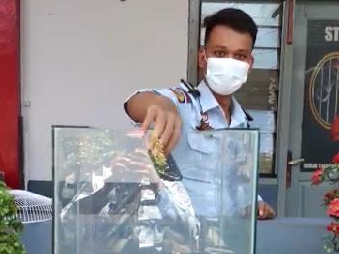 Sekitar 200 HP milik para tahanan di Rutan Gresik yang terjaring razia dihancurkan. Tak hanya dipukul dengan palu, HP juga dimasukkan ke dalam aquarium berisi air asin.