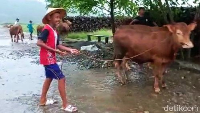 sungai lembu banyuwangi meluap