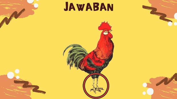 Tes IQ, Bisakah Kamu Menemukan Kesalahan di Gambar Ini?