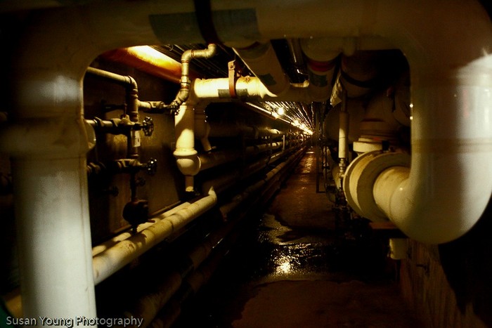 Terowongan bawah tanah di Harvard University Terowongan bawah tanah di Harvard University.