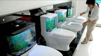 Toilet Aquarium. Penemuan ini datang dari perusahaan China, dimana produknya diperuntukan untuk keluarga yang gemar memelihara hewan namun tidak memiliki banyak ruang di rumahnya. (Hubpages.com dan Pinterest.com).