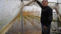Qin Shixian menunjukan banjir yang merendam lahan pertanianya di Desa Zhaoguo, Provinsi Henan, Tiongkok (22/10). Perubahan iklim global mendorong cuaca ekstrim di sejumlah tempat. (AP Photo/Ng Han Guan)