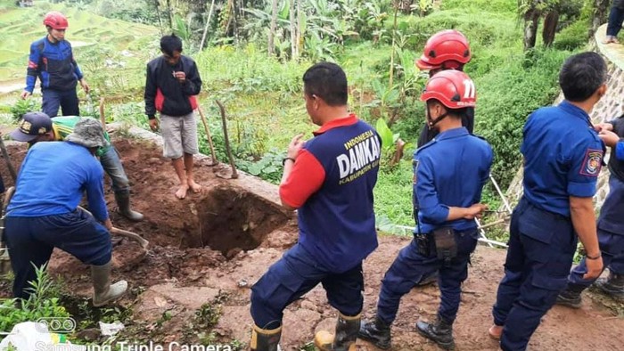 Geger kemunculan tiga ular besar di Pamulihan Garut