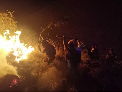 Fakta Seputar Kebakaran di Pulau Rinca yang Sempat Bikin Heboh