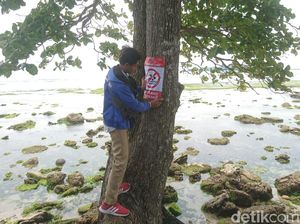 Pantai Karapyak Masih Ditutup, Penunjang Keselamatan Dibenahi