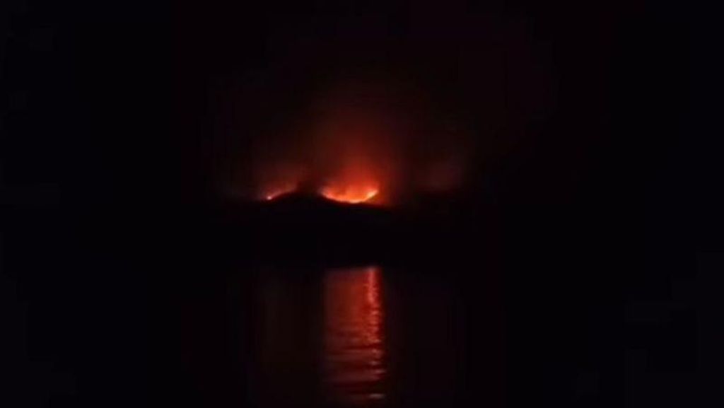 Belum Jelas Kabar Komodo Si Satwa Purba Usai Kebakaran di Pulau Rinca