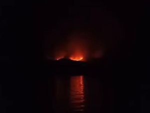 Belum Jelas Kabar Komodo Si Satwa Purba Usai Kebakaran di Pulau Rinca
