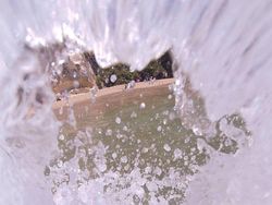 Deretan Foto Diambil di Waktu yang Tepat, Hasilnya Luar Biasa