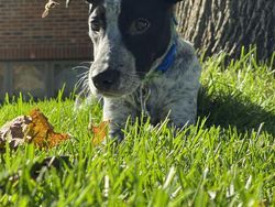 Deretan Foto Diambil di Waktu yang Tepat, Hasilnya Luar Biasa