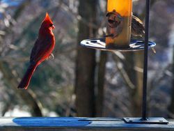 Deretan Foto Diambil di Waktu yang Tepat, Hasilnya Luar Biasa