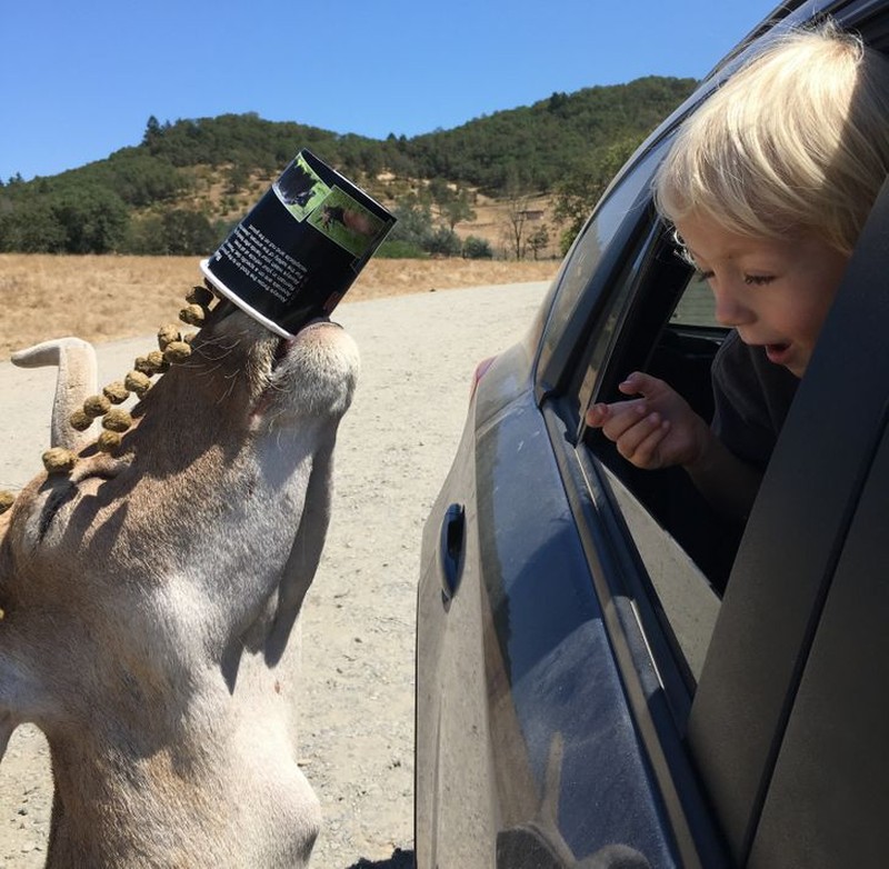 Foto di waktu yang tepat