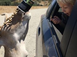 Deretan Foto Diambil di Waktu yang Tepat, Hasilnya Luar Biasa