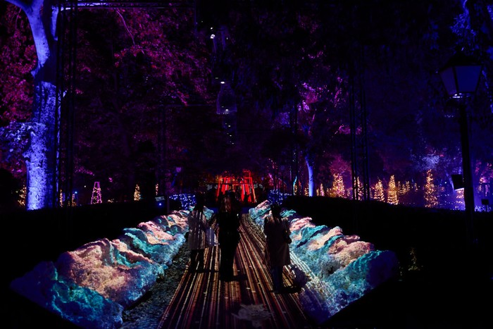 MADRID, SPAIN - NOVEMBER 02: General view of the light show 'Naturaleza Encendida' at the Royal Botanical Garden of Madrid on November 02, 2021 in Madrid, Spain. Botanic Garden Inaugurates Christmas Lighting In Madrid. (Photo by Carlos Alvarez/Getty Images)