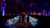 Pameran ini menampilkan berbagai bentuk binatang laut yang bercahaya.  Foto: Getty Images/Carlos Alvarez