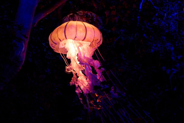 Jelajahi Pertunjukan Binatang Bercahaya di Madrid MADRID, SPAIN - NOVEMBER 02: General view of the light show 'Naturaleza Encendida' at the Royal Botanical Garden of Madrid on November 02, 2021 in Madrid, Spain. Botanic Garden Inaugurates Christmas Lighting In Madrid. (Photo by Carlos Alvarez/Getty Images)