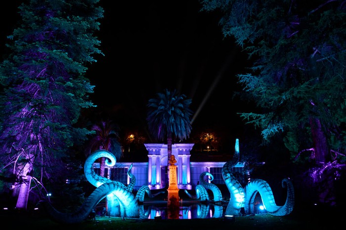 MADRID, SPAIN - NOVEMBER 02: General view of the light show 'Naturaleza Encendida' at the Royal Botanical Garden of Madrid on November 02, 2021 in Madrid, Spain. Botanic Garden Inaugurates Christmas Lighting In Madrid. (Photo by Carlos Alvarez/Getty Images)