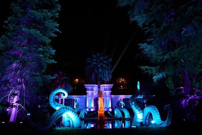 Jelajahi Pertunjukan Binatang Bercahaya di Madrid MADRID, SPAIN - NOVEMBER 02: General view of the light show 'Naturaleza Encendida' at the Royal Botanical Garden of Madrid on November 02, 2021 in Madrid, Spain. Botanic Garden Inaugurates Christmas Lighting In Madrid. (Photo by Carlos Alvarez/Getty Images)