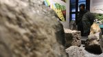 Museum Geologi Bandung Sudah Buka Lagi Lho Gaes