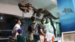 Museum Geologi Bandung Sudah Buka Lagi Lho Gaes