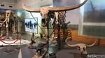 Museum Geologi Bandung Sudah Buka Lagi Lho Gaes