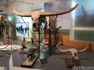 21 Museum di Bandung, Waktu Operasional dan Harga Tiket