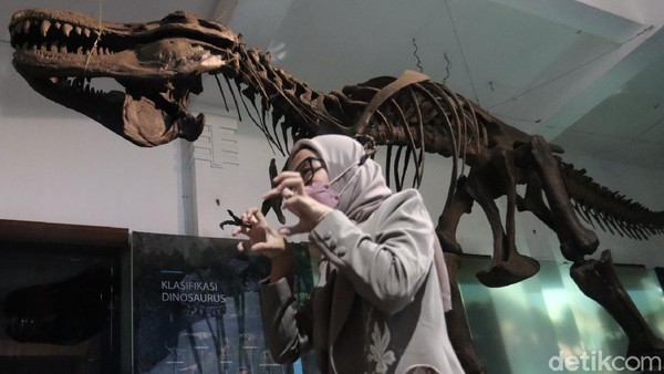 Kepala Museum Geologi Iwan Kurniawan kepada detikTravel, Kamis (4/11/2021) mengatakan, museum sudah buka per tanggal 3 November 2021.