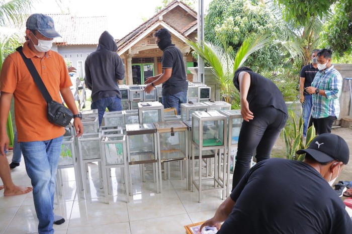 Polisi menyita ratusan kotak amal dari yayasan di Lampung yang diduga menghimpun dana untuk aksi terorisme. (dok Polda Lampung)