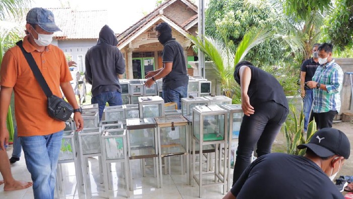 Polisi menyita ratusan kotak amal dari yayasan di Lampung yang diduga menghimpun dana untuk aksi terorisme. (dok Polda Lampung)